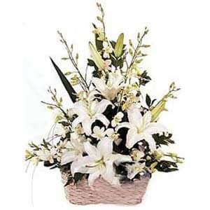 Basket of White lillies